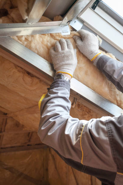 Types of Insulation We Offer in Forest Heights, TX